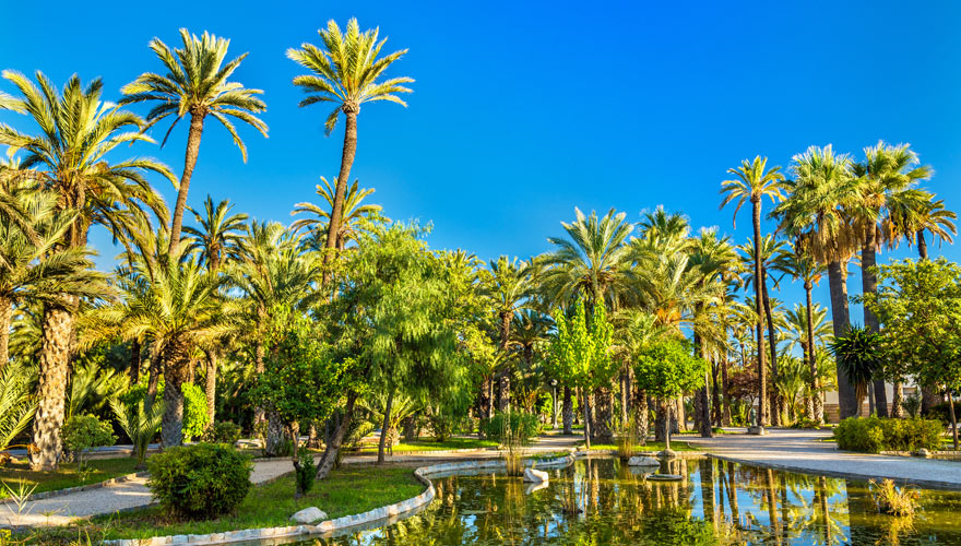 El Palmeral in Alicante