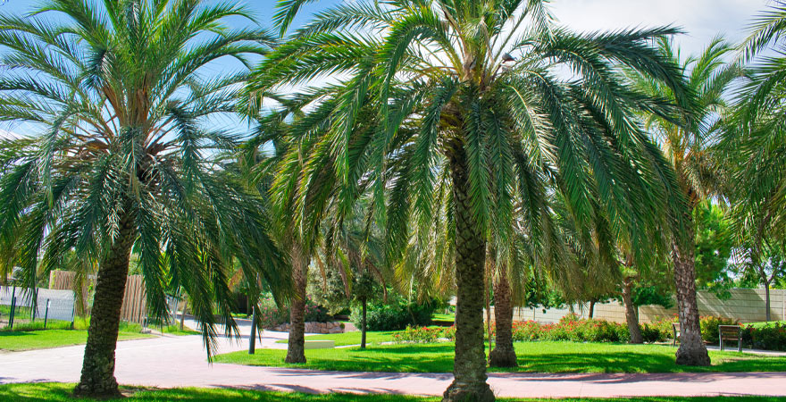 Jardines del Turia