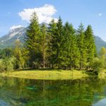 allgäu urlaub