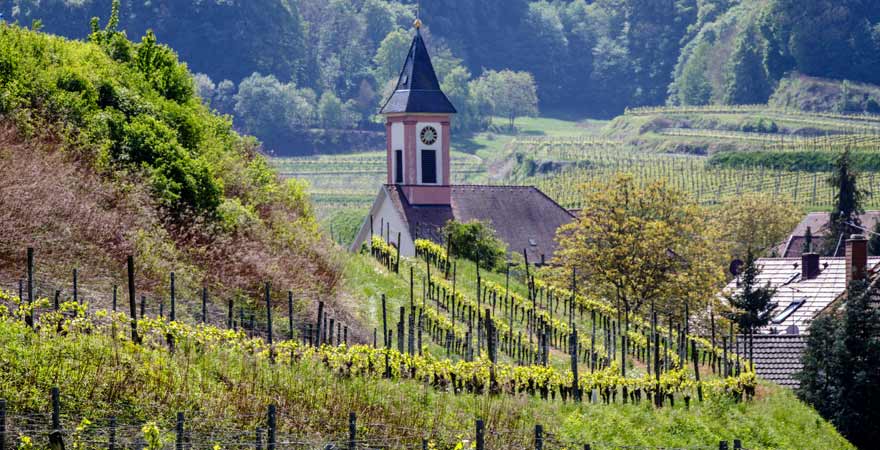 Sankt Romanus Kirche am Kaiserstuhl