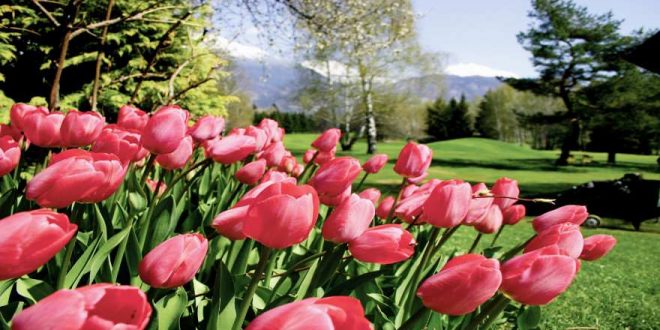 Vielseitig und einmalig schön: Tipps für euren Frühlingsurlaub in Bayern