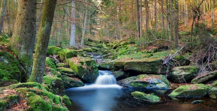 Wildbach mit kleinem wasserfall