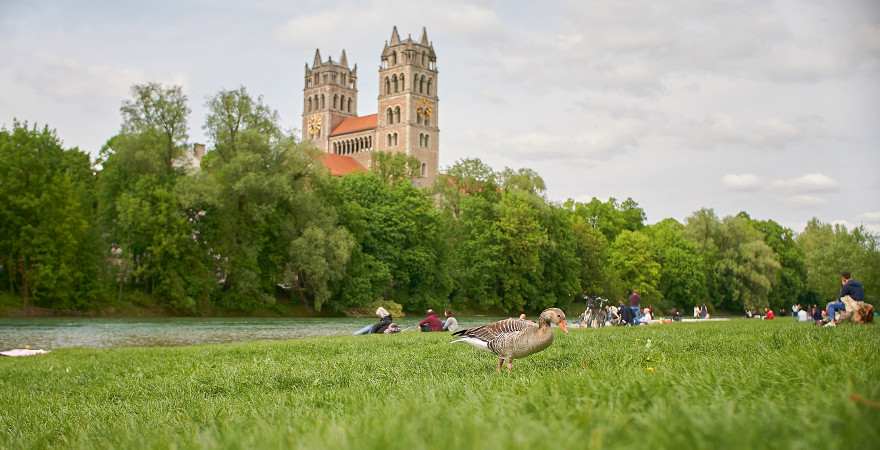 von einer Wiese an der Isar blickt man auf eine Kirche