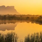 Sunrise in the Savannah of Südafrika
