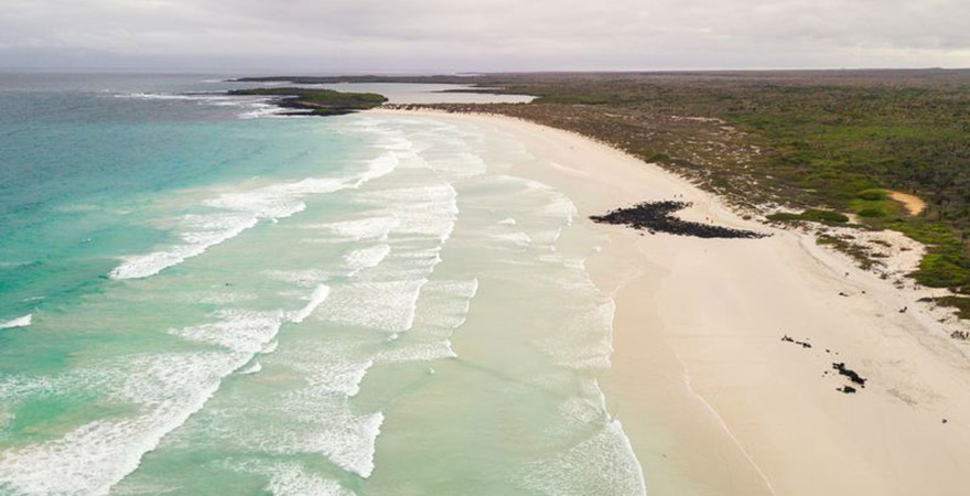 Tortuga Bay - Santa Cruz Island