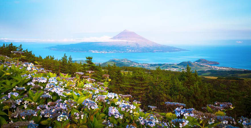  Mount Pico, Insel Pico, Azoren