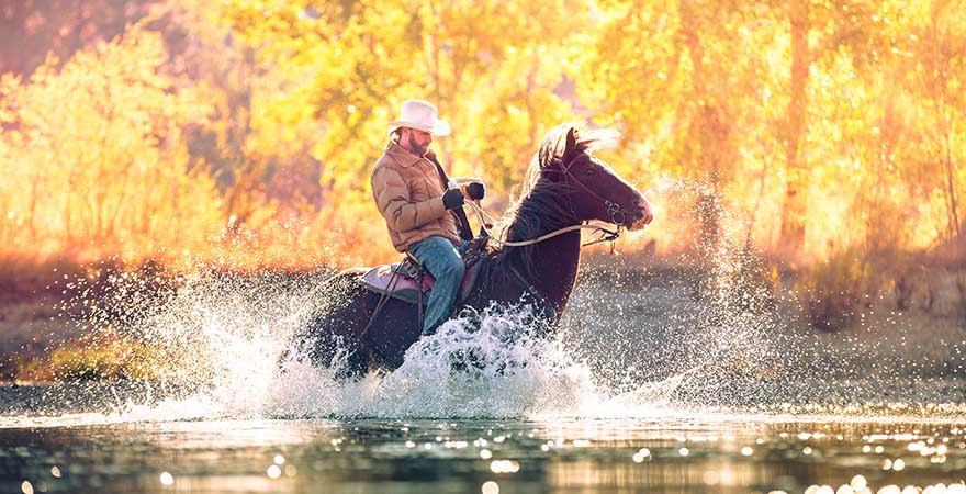 Cowboy reiten Montana