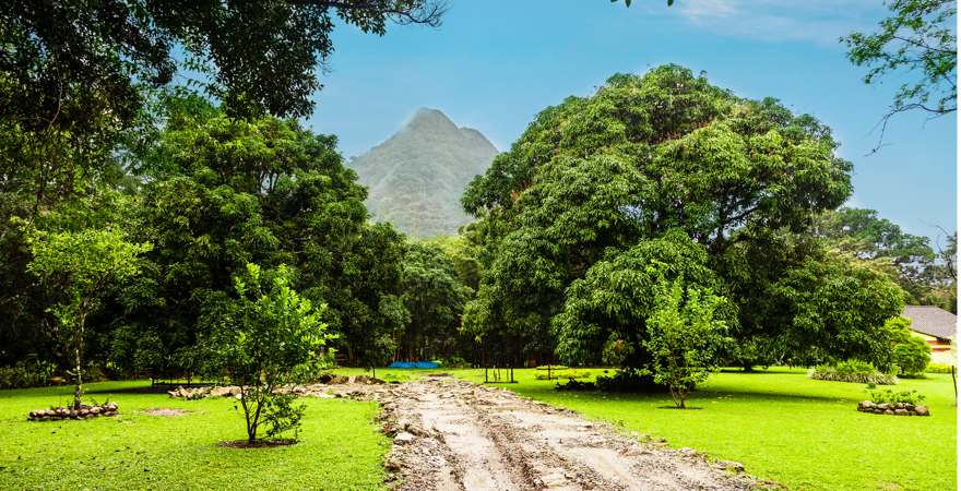 Ein schlammiger Weg führt durch eine Wiese zu einem Berg