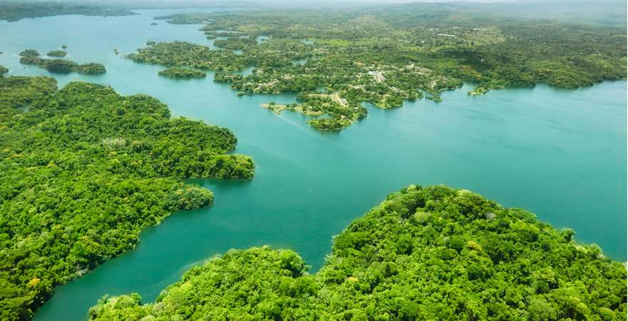 grünlich schimmernder Panamakanal im Urwald