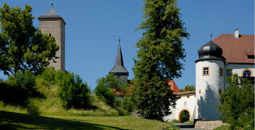 mittelalterliches Schloss mit baum