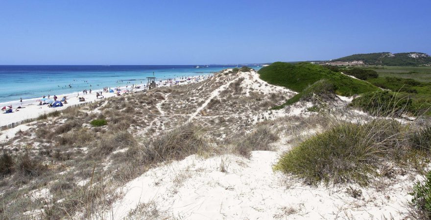 Playa de Son Bou Menorca