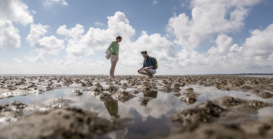 Pärchen am Wattenmeer 