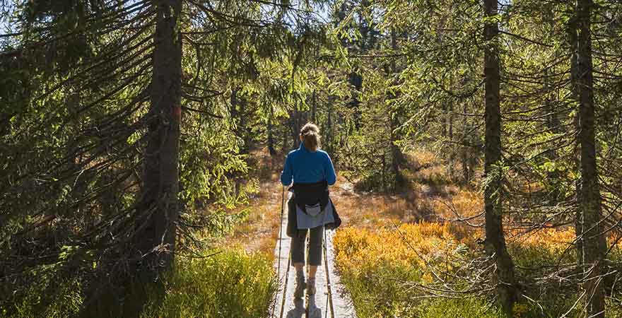 Frau wandern im Wald