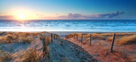 Die 6 schönsten Strände Hollands: Eine Küste voller Möglichkeiten