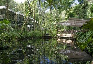 Daintree Ecolodge