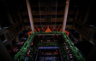 The Orchid