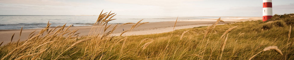 Strand Hiddensee