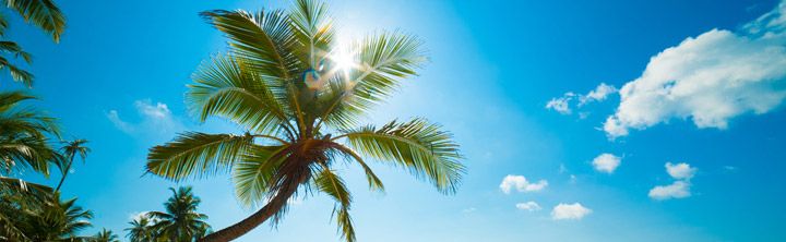 Sommerurlaub