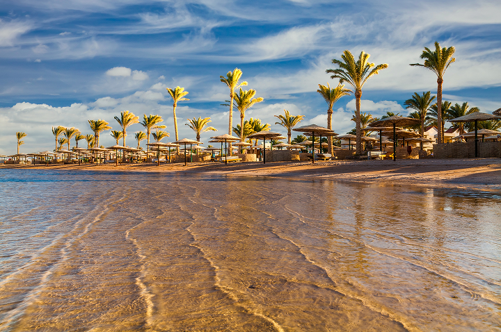 Sandstrand in Ägypten mit Palmen und bunten Sonnenschirmen, ideal für einen entspannten Urlaubstag am Meer.