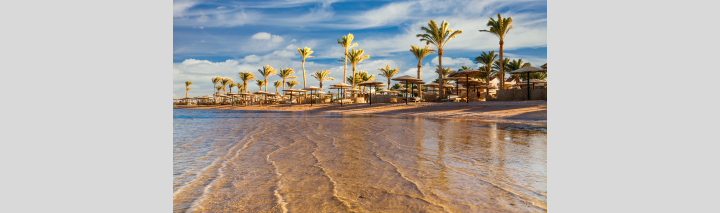 Sandstrand in Ägypten mit Palmen und bunten Sonnenschirmen, ideal für einen entspannten Urlaubstag am Meer.