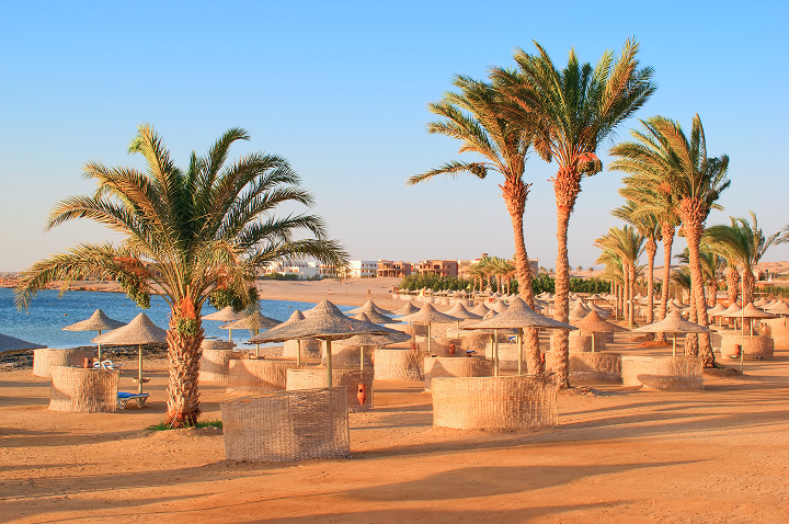 Ein sonniger Sandstrand mit Palmen und bunten Sonnenschirmen, ideal zum Entspannen und Genießen.