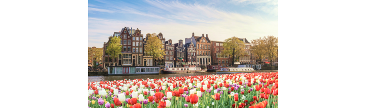 Malerische Grachtenlandschaft in Amsterdam, umgeben von typischen niederländischen Häusern und Booten auf dem Wasser.