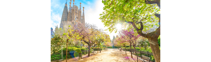 Die Sonne scheint durch die Bäume vor einer Kathedrale in Barcelona, die eine malerische Städtereise-Szene schafft