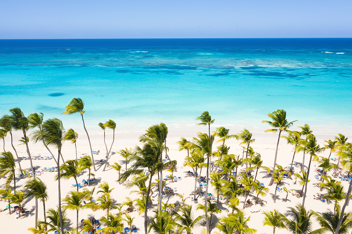 Ein idyllischer Strand mit hohen Palmen und glitzerndem, blauem Wasser unter einem strahlend blauen Himmel.