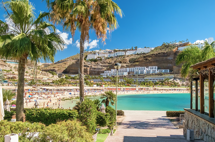 Malerischer Strand auf Gran Canaria, umgeben von Palmen und strahlend blauem Wasser.