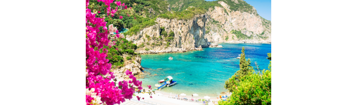 Strand und Klippen auf Korfu, umgeben von leuchtend pinken Blumen, die eine malerische Landschaft schaffen