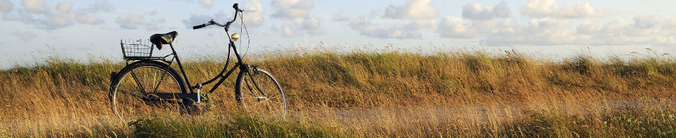 Last Minute Niederlande