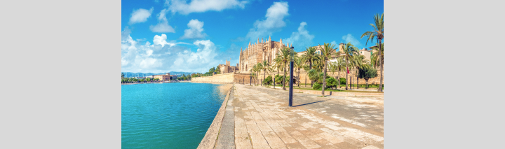 Blick auf Palma de Mallorca, wo ein Fluss sanft fließt und Palmen die lebendige Stadtlandschaft umrahmen.