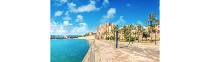 Wunderschöne Stadt Palma de Mallorca mit einem Fluss und Palmen im Vordergrund