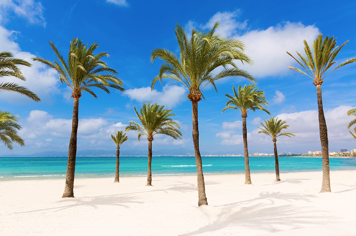 Palmen am Strand, die sanft im Wind wiegen, vor dem Hintergrund des klaren Himmels und des glitzernden Wassers.
