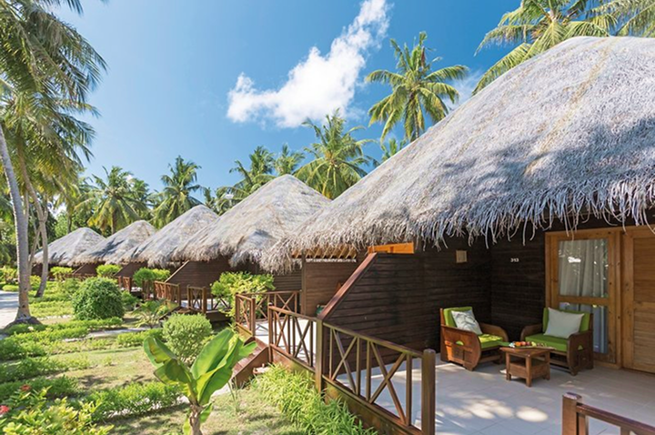 Reihe von strohgedeckten Bungalows mit Holzveranda und grünen Kissen, umgeben von Palmen unter blauem Himmel.