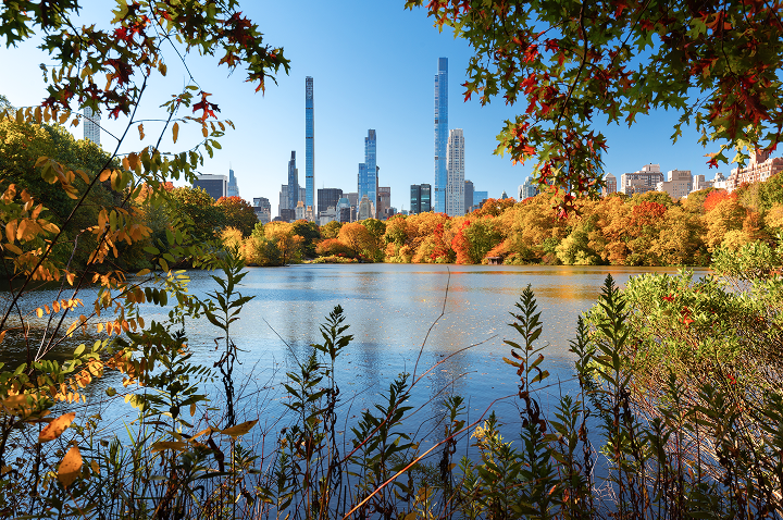 Blick auf einen See, umgeben von Bäumen, mit der beeindruckenden Skyline von New York.
