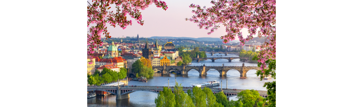 Frühling in Prag: Die Prager Burg thront majestätisch über der Stadt, umgeben von blühenden Frühlingsblumen