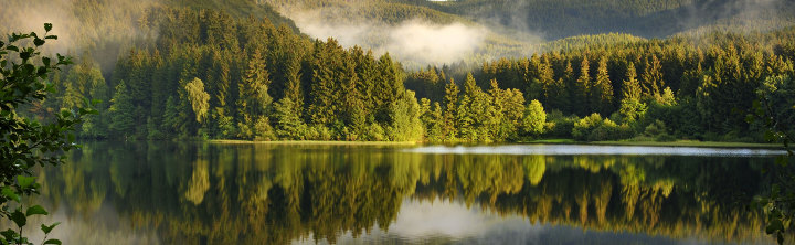 Urlaub Schwarzwald