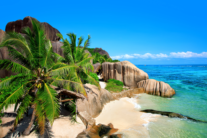 Tropischer Strand mit Palmen und Felsen, sanfte Wellen plätschern am Ufer unter strahlend blauem Himmel.