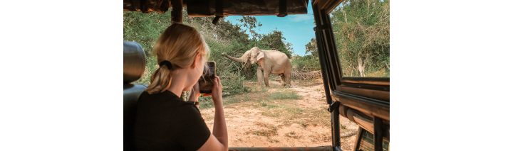 Auf einem Tansania-Safari blickt eine Frau aus dem Fahrzeug, während ein Elefant in der Nähe vorbeischreitet